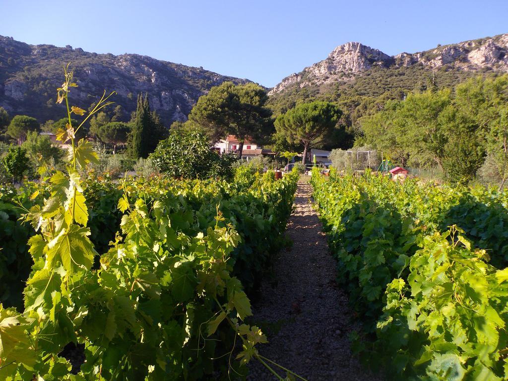 Au Havre De Paix Sainte Victoire Vauvenargues Hotel ภายนอก รูปภาพ